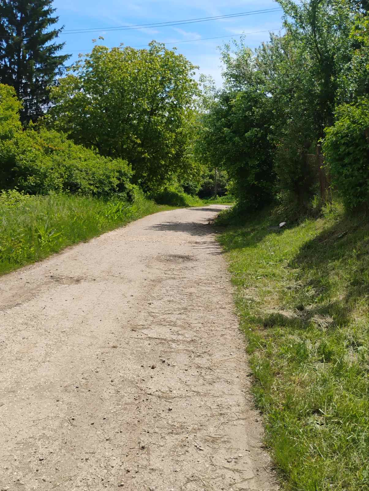 viber_изображение_2026-06-24_10-01-55-161