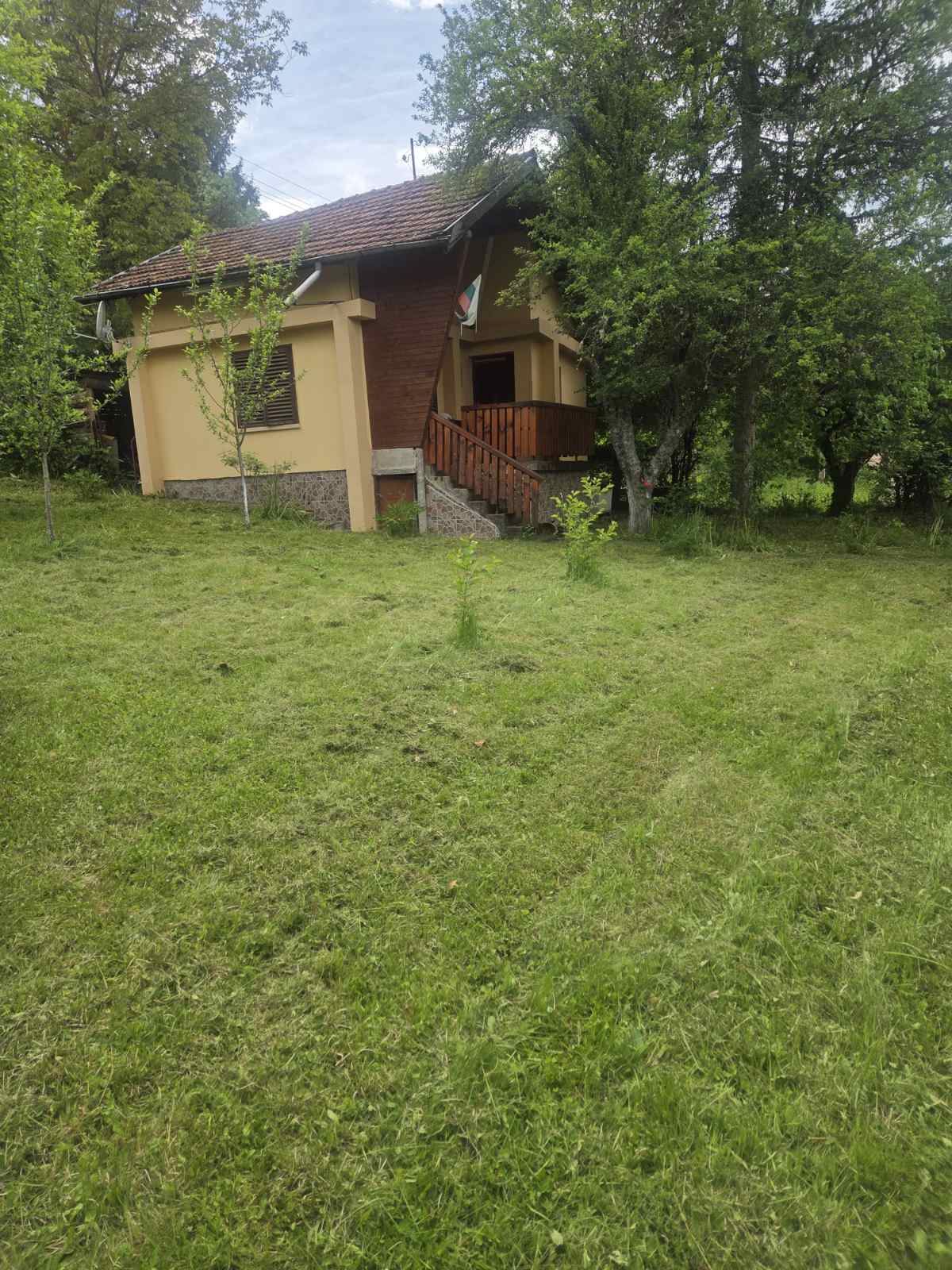 viber_изображение_2026-06-24_10-01-55-994