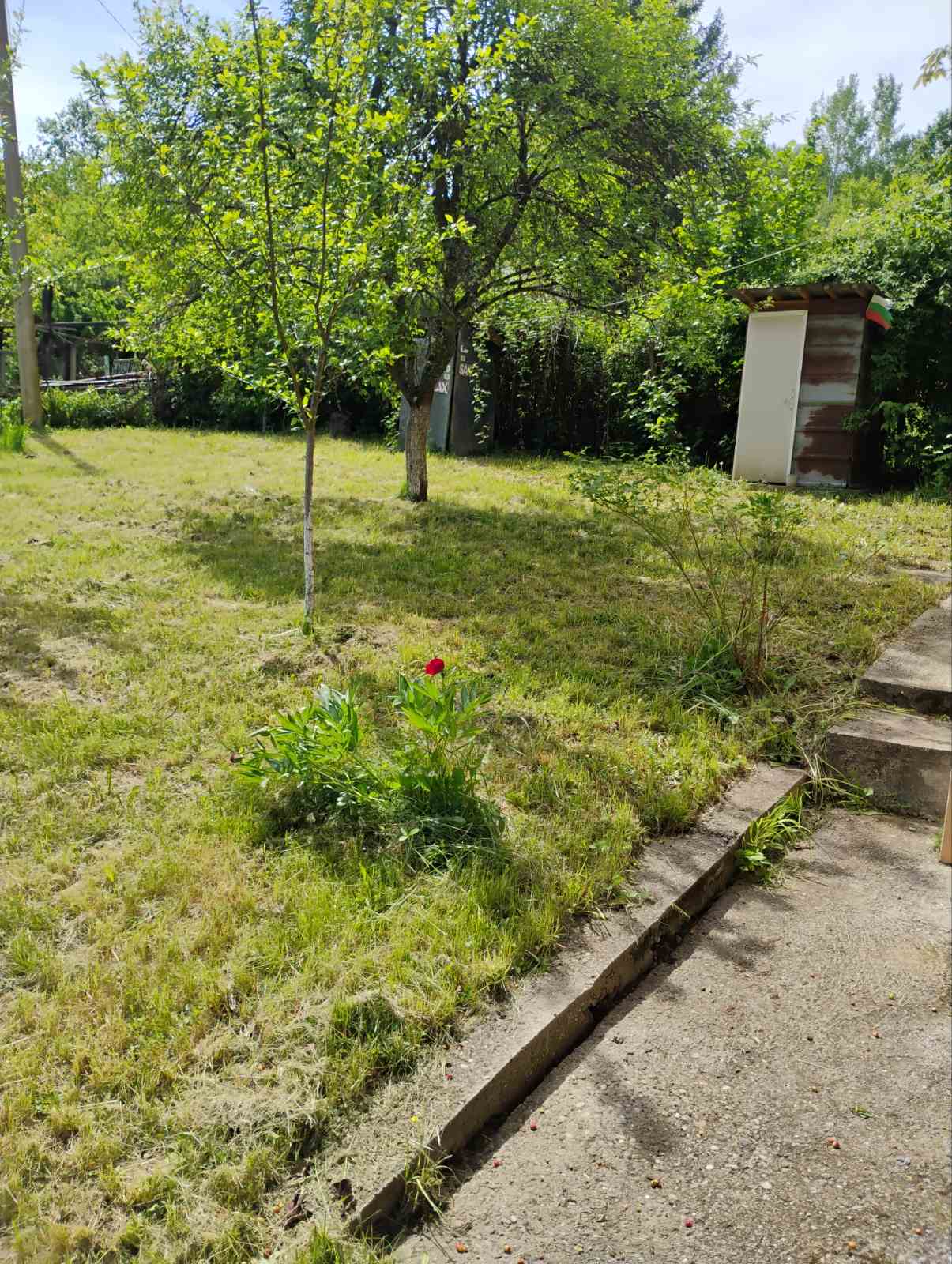 viber_изображение_2026-06-24_10-01-56-454