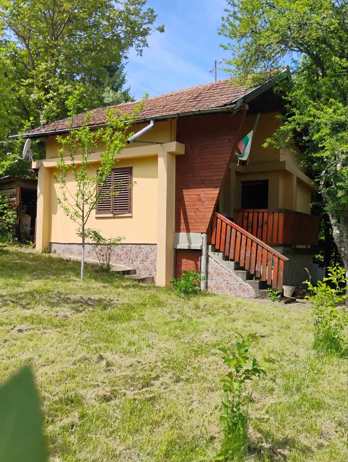 viber_изображение_2026-06-24_10-02-33-113