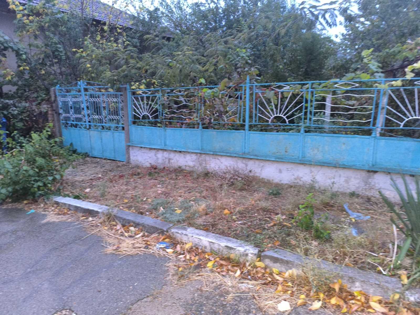 viber_изображение_2026-10-12_09-22-48-109